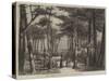 Resin-Gathering in the Pine Forests of the Landes-null-Stretched Canvas