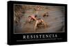 Resistencia. Cita Inspiradora Y Póster Motivacional-null-Stretched Canvas