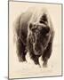 Resolute-Wink Gaines-Mounted Giclee Print