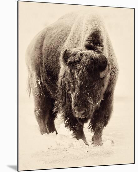 Resolute-Wink Gaines-Mounted Giclee Print