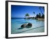 Resort Tahiti French Polynesia-null-Framed Premium Photographic Print