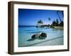 Resort Tahiti French Polynesia-null-Framed Photographic Print