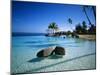 Resort Tahiti French Polynesia-null-Mounted Photographic Print