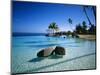 Resort Tahiti French Polynesia-null-Mounted Premium Photographic Print