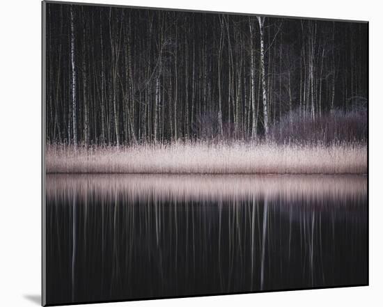 Resounding Sound-Mikael Svensson-Mounted Giclee Print