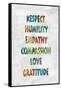 Respect Humility in Color-Jamie MacDowell-Framed Stretched Canvas