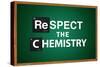 Respect the Chemistry Chalkboard-null-Stretched Canvas