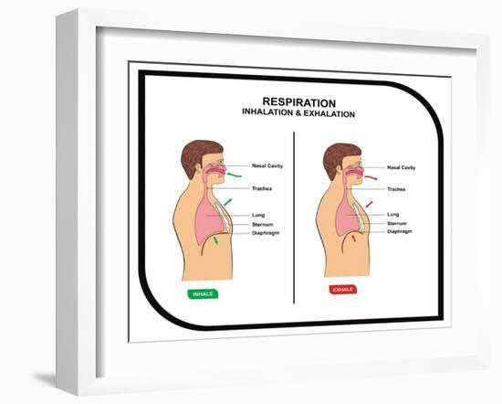 Respiration (Inhalation and Exhalation)-udaix-Framed Art Print