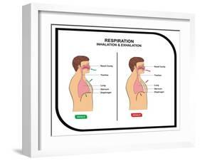 Respiration (Inhalation and Exhalation)-udaix-Framed Art Print