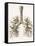 Respiratory Anatomy, 19th Century Artwork-Science Photo Library-Framed Stretched Canvas