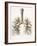 Respiratory Anatomy, 19th Century Artwork-Science Photo Library-Framed Photographic Print