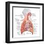 Respiratory System Anatomy-niceclip-Framed Art Print