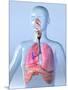 Respiratory System, Artwork-Roger Harris-Mounted Photographic Print
