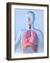 Respiratory System, Artwork-Roger Harris-Framed Photographic Print