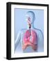 Respiratory System, Artwork-Roger Harris-Framed Photographic Print