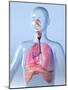 Respiratory System, Artwork-Roger Harris-Mounted Photographic Print