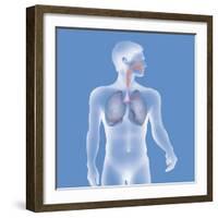 Respiratory Tract, Drawing-Caroline Arquevaux-Framed Giclee Print