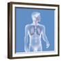 Respiratory Tract, Drawing-Caroline Arquevaux-Framed Giclee Print