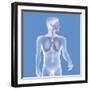 Respiratory Tract, Drawing-Caroline Arquevaux-Framed Giclee Print