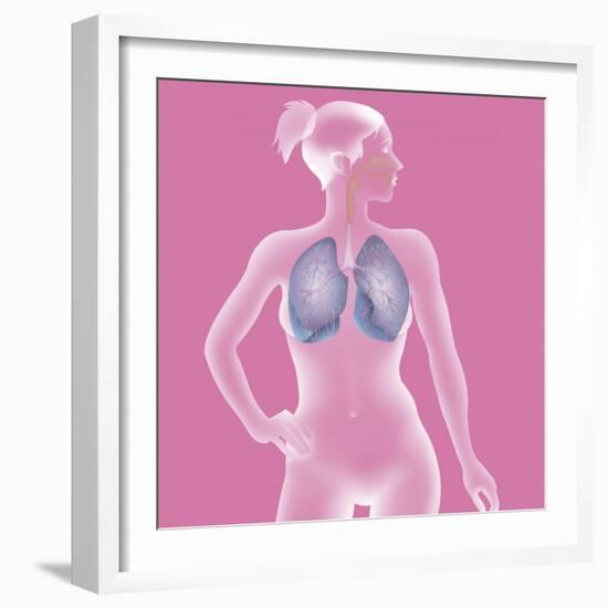 Respiratory Tract, Drawing-Caroline Arquevaux-Framed Giclee Print