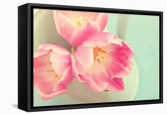 Resplendent Blossoms-Sarah Gardner-Framed Stretched Canvas