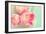 Resplendent Blossoms-Sarah Gardner-Framed Photographic Print