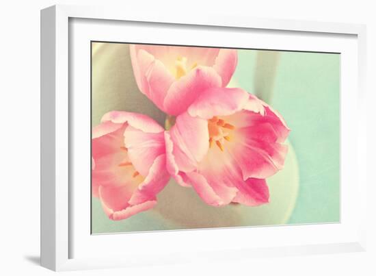 Resplendent Blossoms-Sarah Gardner-Framed Photographic Print