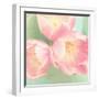 Resplendent Blossoms-Sarah Gardner-Framed Photographic Print