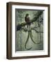 Resplendent Quetzal 2-Harro Maass-Framed Giclee Print