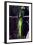 Resplendent Quetzal-null-Framed Photographic Print