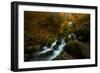 Resplendent Stream-Enrico Fossati-Framed Photographic Print