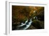 Resplendent Stream-Enrico Fossati-Framed Photographic Print