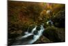 Resplendent Stream-Enrico Fossati-Mounted Photographic Print