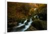 Resplendent Stream-Enrico Fossati-Framed Photographic Print