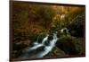 Resplendent Stream-Enrico Fossati-Framed Photographic Print