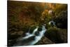 Resplendent Stream-Enrico Fossati-Stretched Canvas