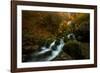 Resplendent Stream-Enrico Fossati-Framed Photographic Print