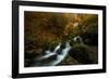 Resplendent Stream-Enrico Fossati-Framed Photographic Print