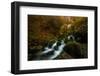 Resplendent Stream-Enrico Fossati-Framed Photographic Print