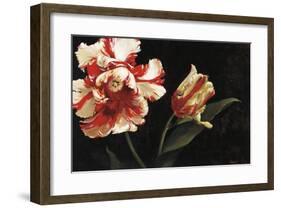 Resplendent-Jennie Tomao-Bragg-Framed Giclee Print