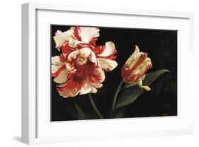 Resplendent-Jennie Tomao-Bragg-Framed Giclee Print