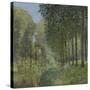 Rest Along the Stream, Edge of the Wood, Ca 1878-Alfred Sisley-Stretched Canvas