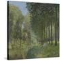 Rest Along the Stream, Edge of the Wood, Ca 1878-Alfred Sisley-Stretched Canvas