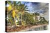 Rest Beach Foliage-Robert Goldwitz-Stretched Canvas