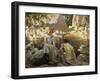 Rest from the Summer's Heat-Dorothy Adamson-Framed Giclee Print