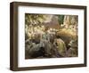 Rest from the Summer's Heat-Dorothy Adamson-Framed Giclee Print