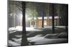 Rest House in Lapland.-Valoor-Mounted Photographic Print