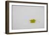 Rest in Peace-Adrian Campfield-Framed Giclee Print