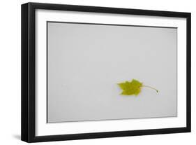 Rest in Peace-Adrian Campfield-Framed Giclee Print