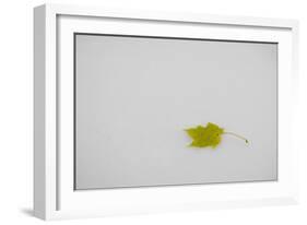 Rest in Peace-Adrian Campfield-Framed Giclee Print